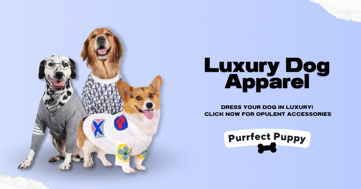 Collar, Harness & Leash Sets  Purrfect Puppy - Luxury Dog Apparel