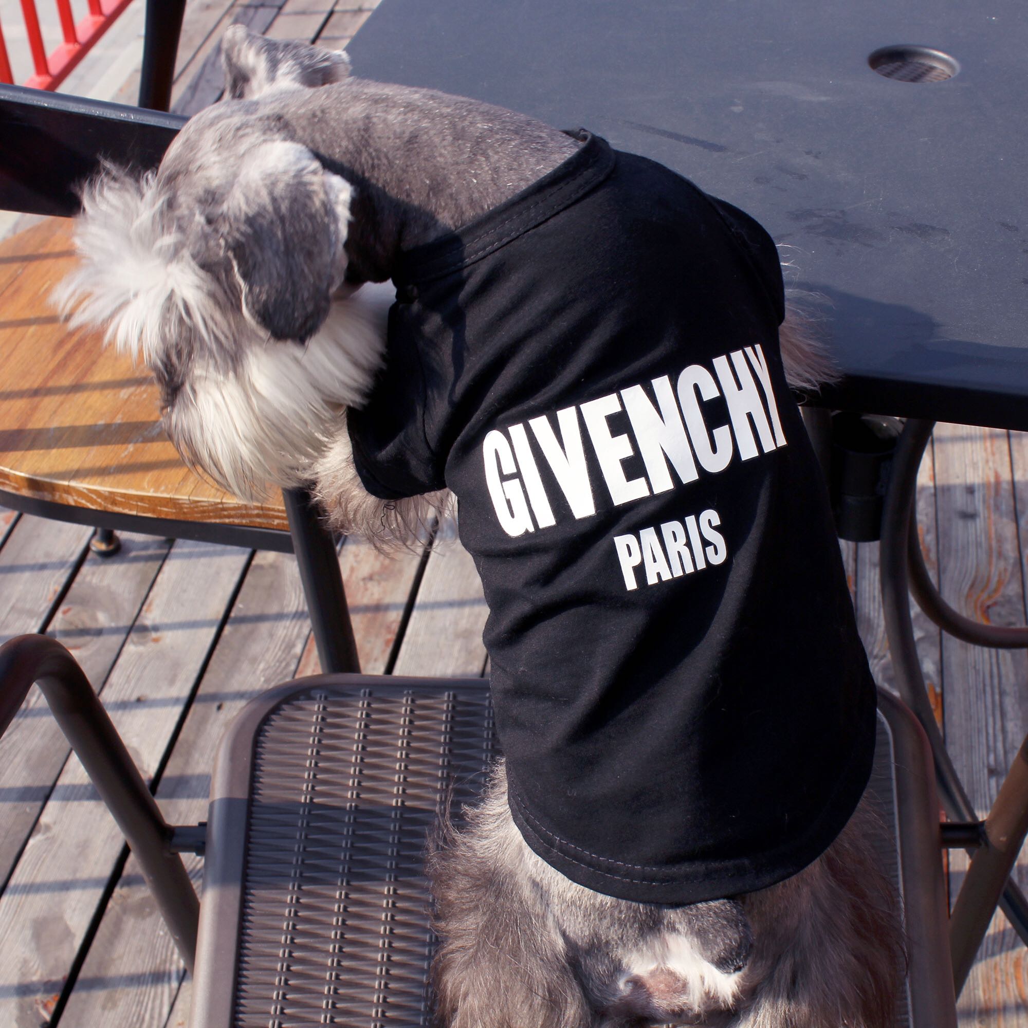 Given-Paw Dog T-shirt