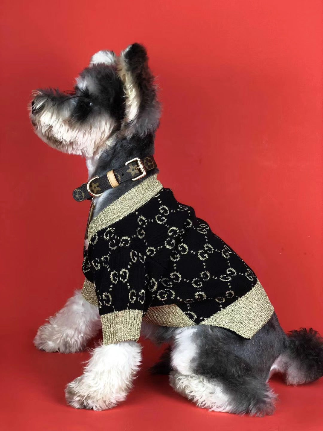 Pucci Dog Elegant Sweater