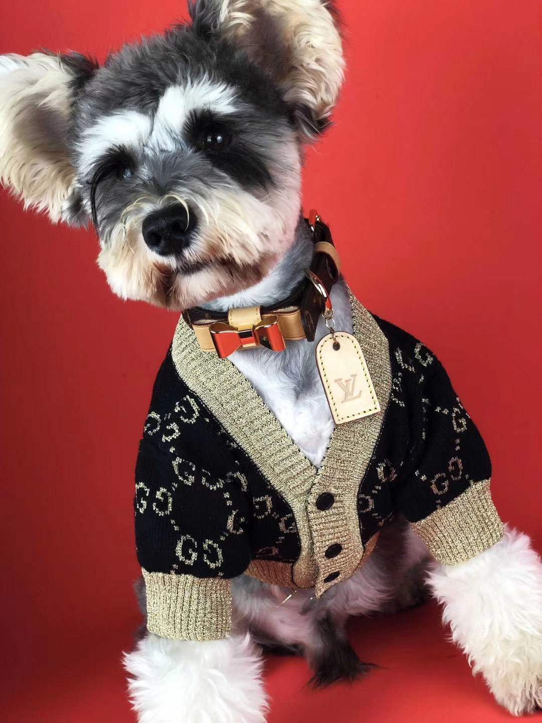 Pucci Dog Elegant Sweater