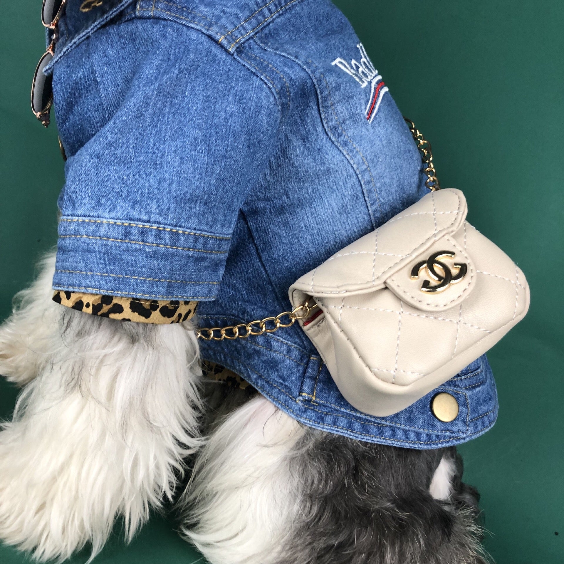 CoCo Dog Bag⚪ – Purrfect Puppy