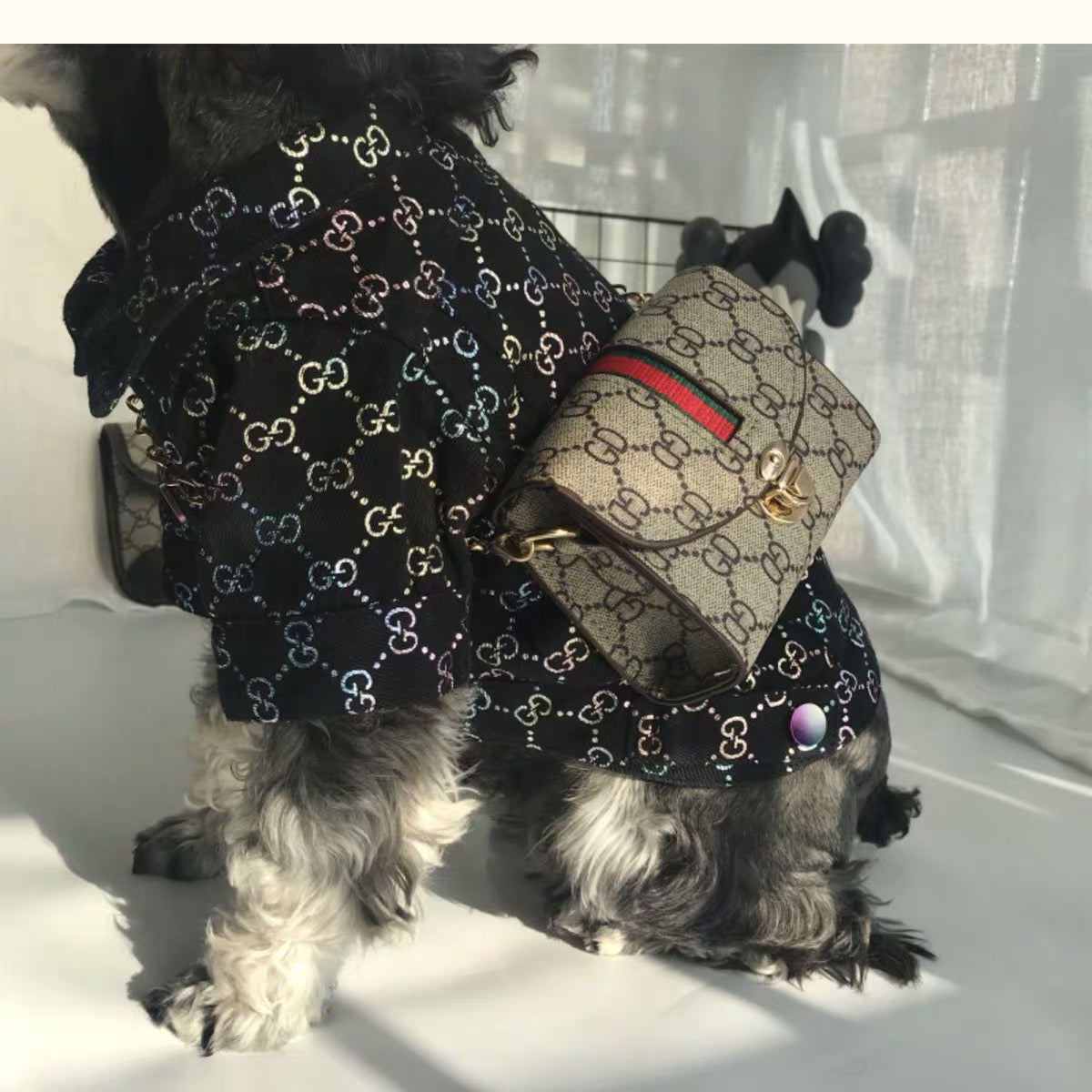 Pucci Dog Bag