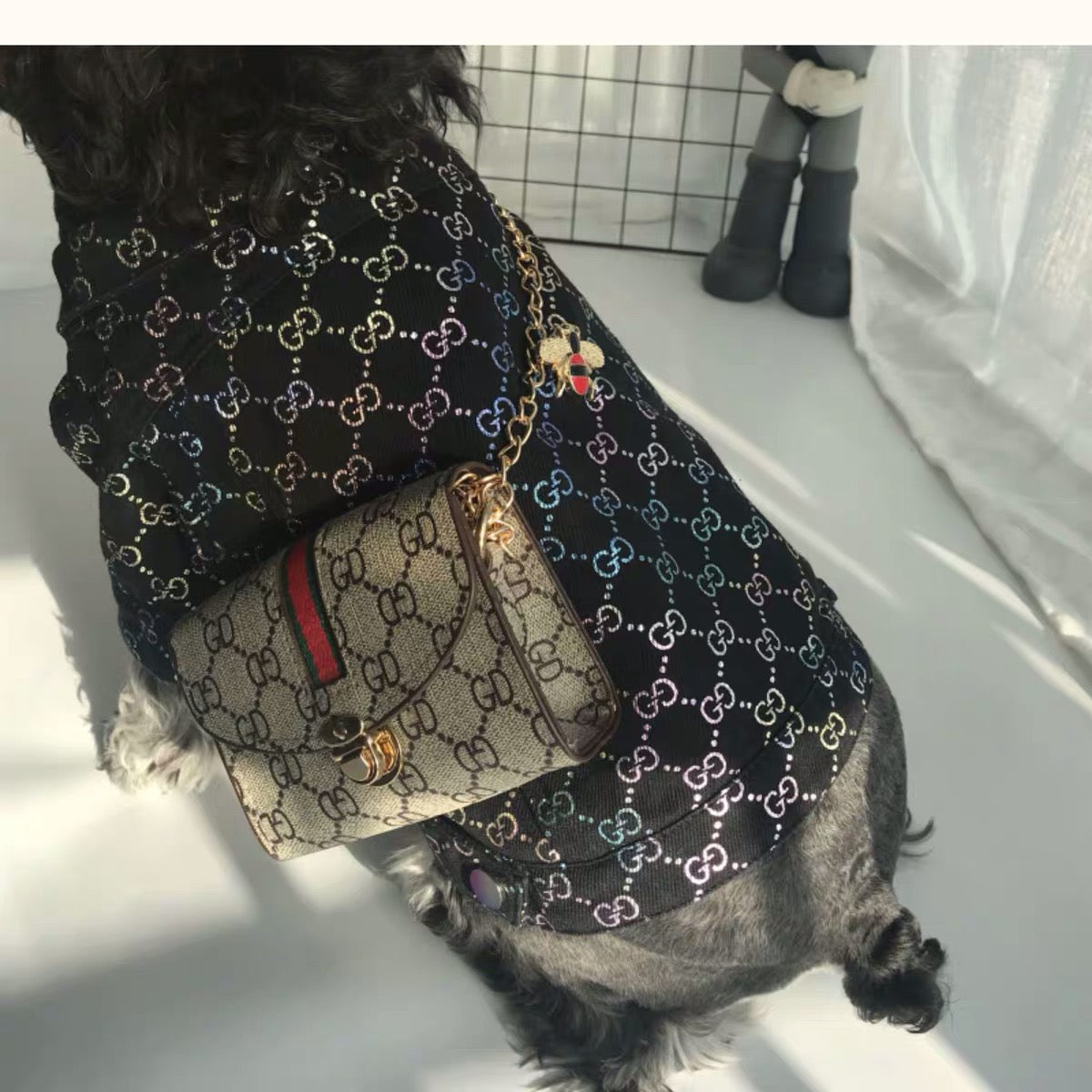 Pucci Dog Bag