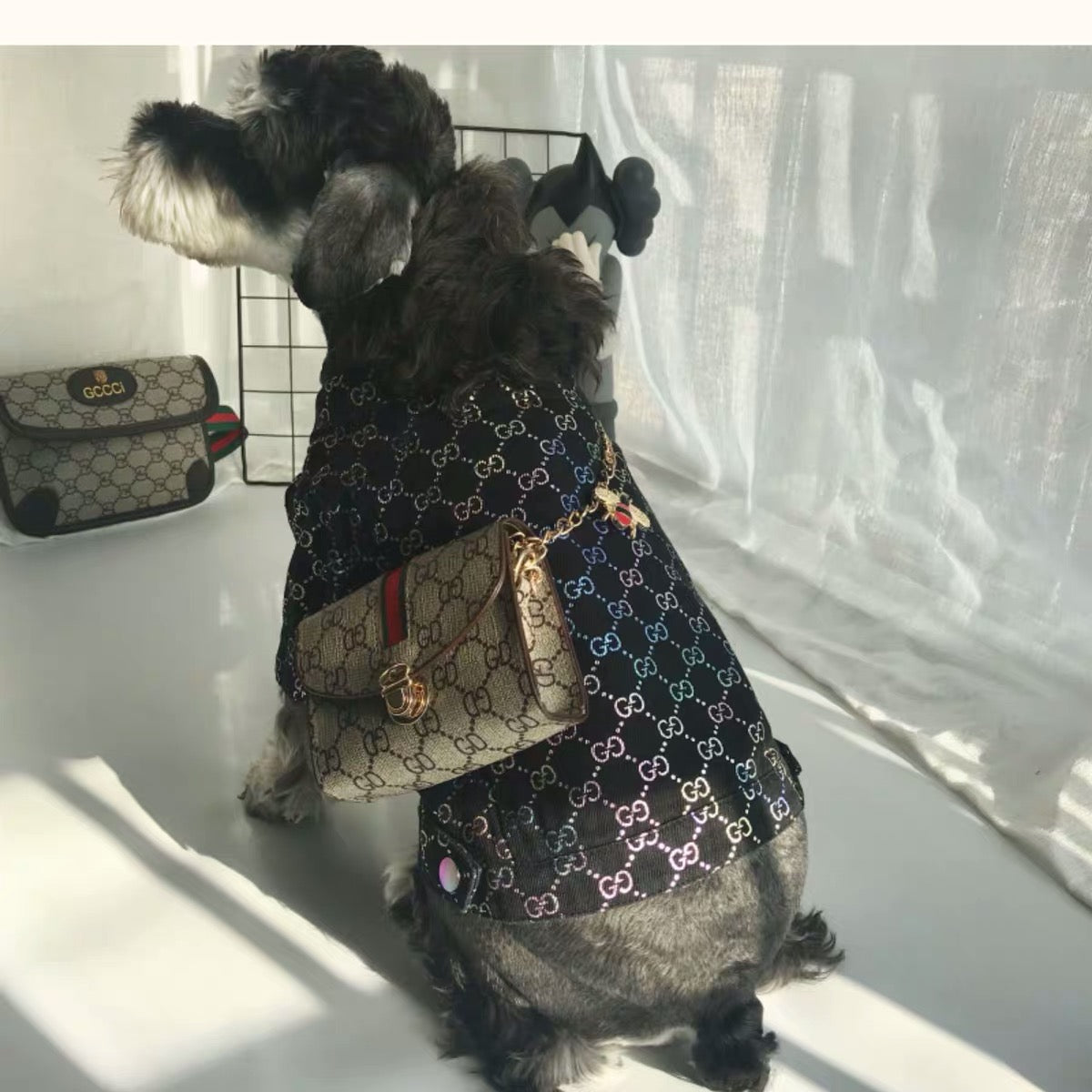 Pucci Dog Bag