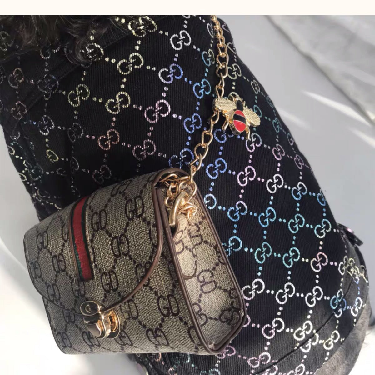 Pucci Dog Bag