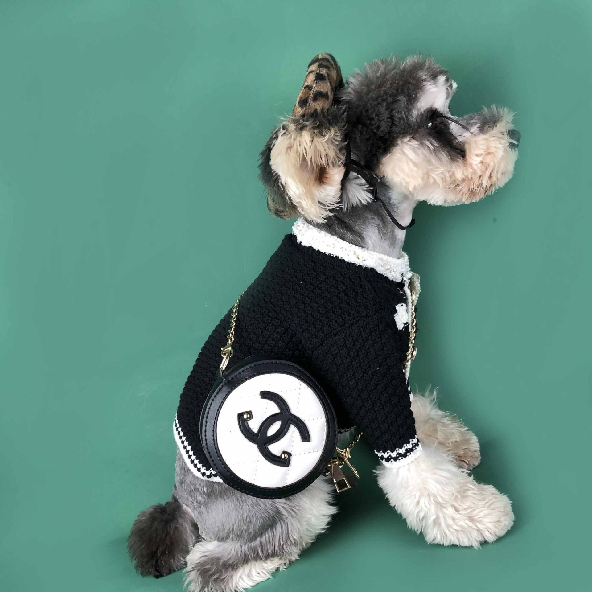 Coco Chanel Dog Clothes