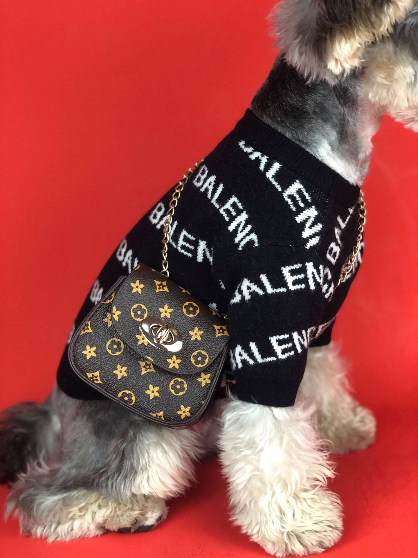 LV Dog Bag