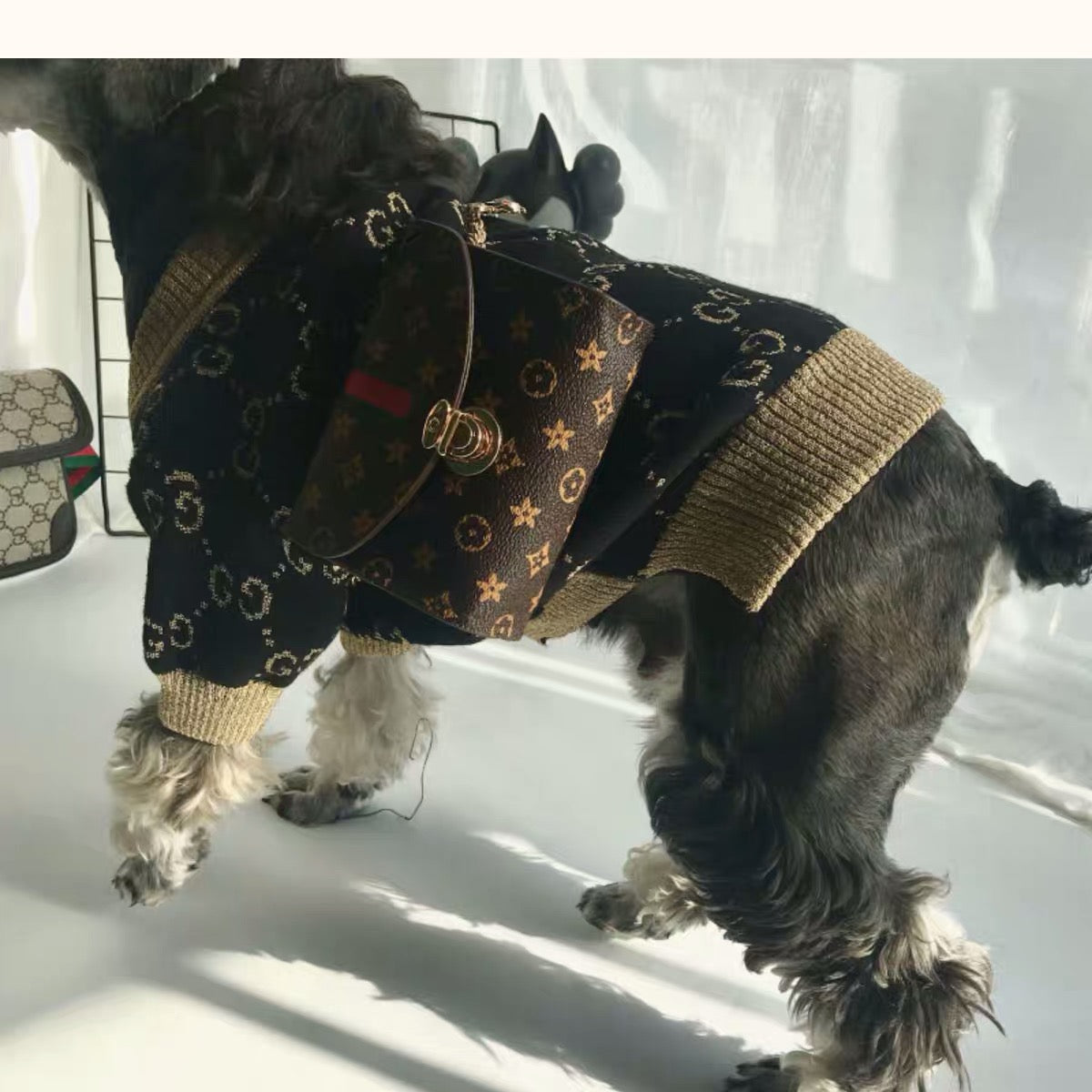 Pucci Dog Bag