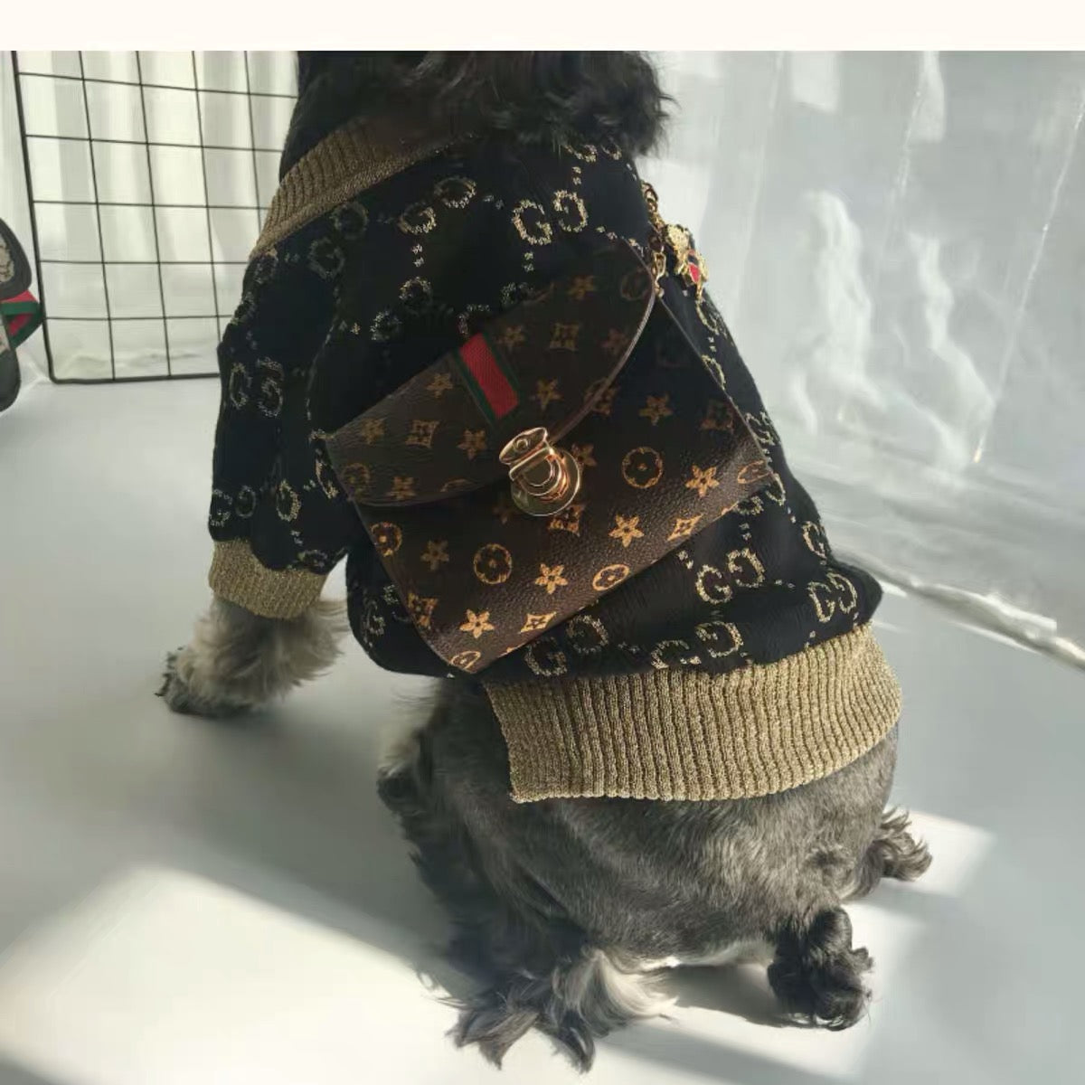 Pucci Dog Bag