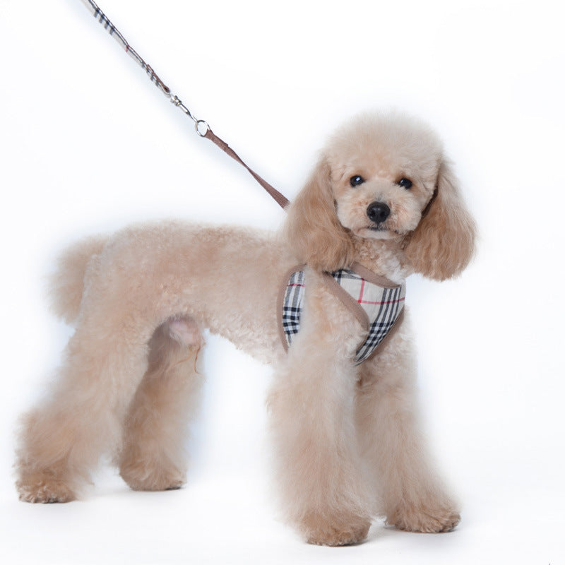 Burberry Dog Leash & Harness Set