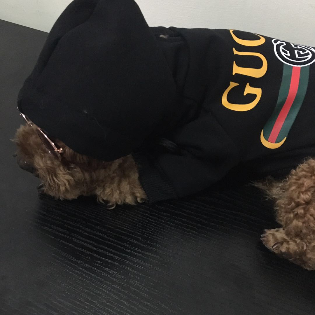 Pucci Dog Hoodie