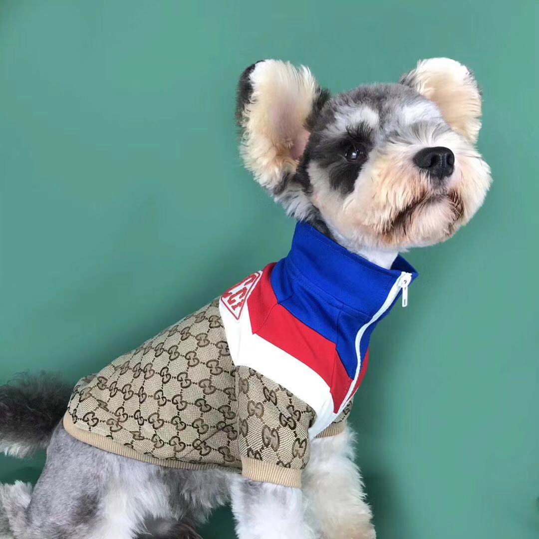 Pucci Dog  Coat