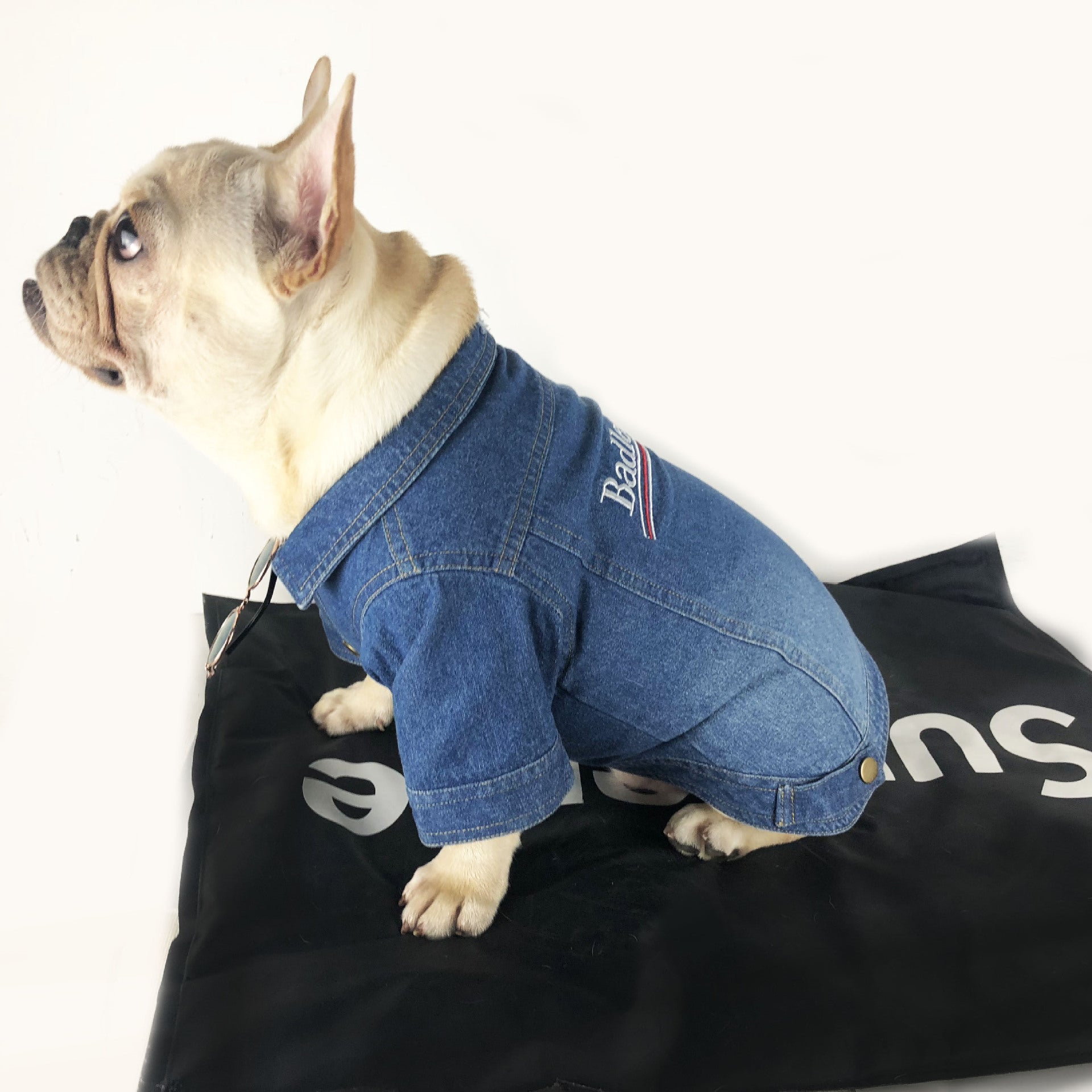 Badlenciaga Dog Jacket