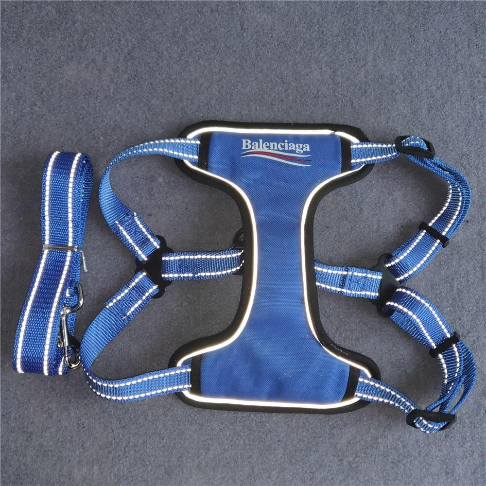 Pawlenciaga Dog Leash & Harness Set