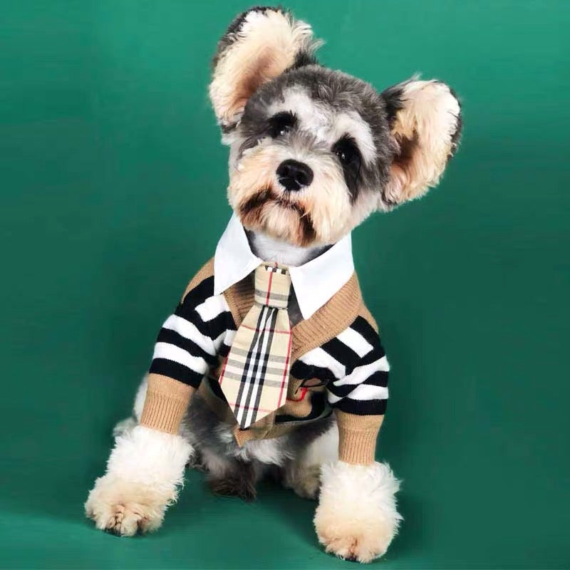 Burberry Cardigan for dog 