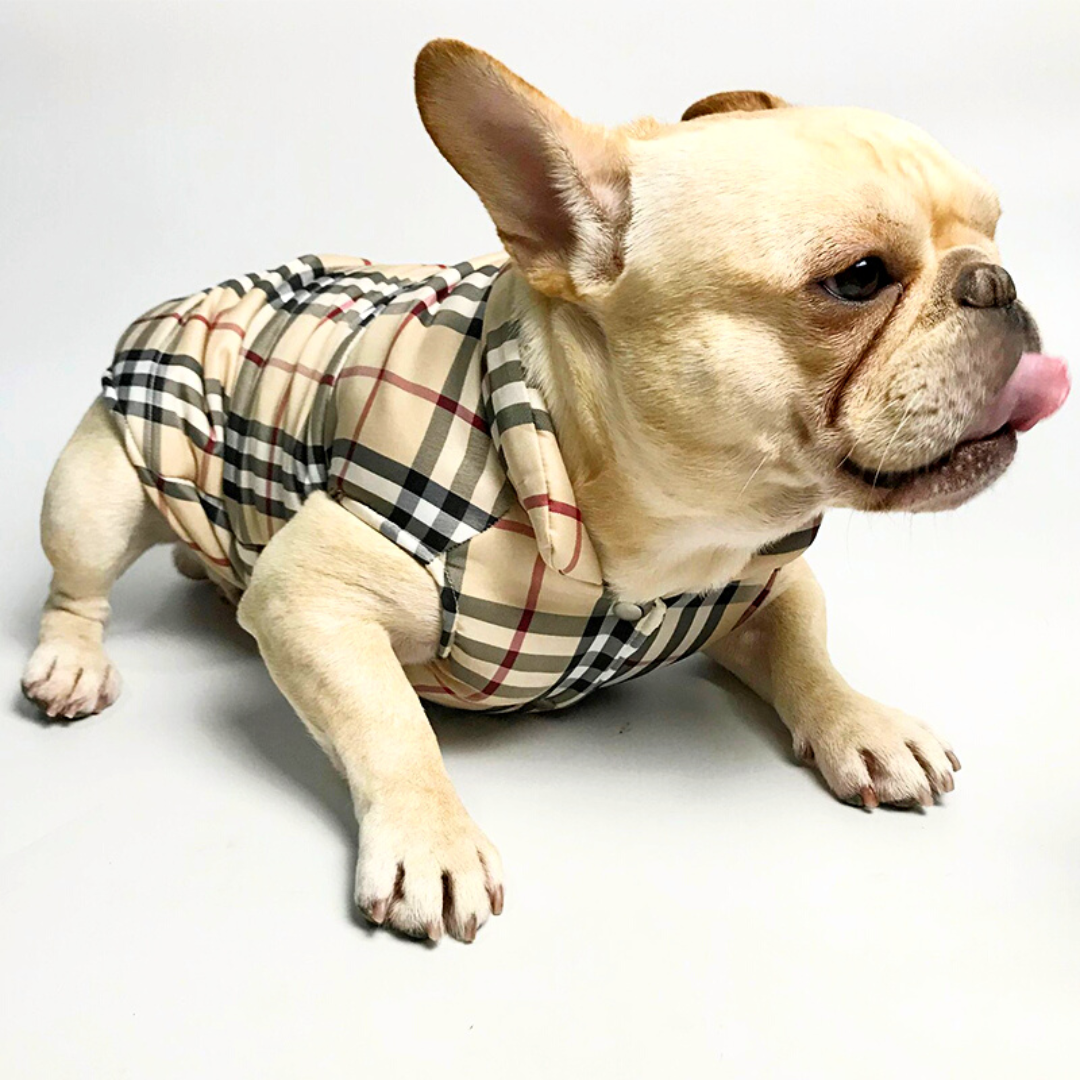 Barkberry Dog Vest