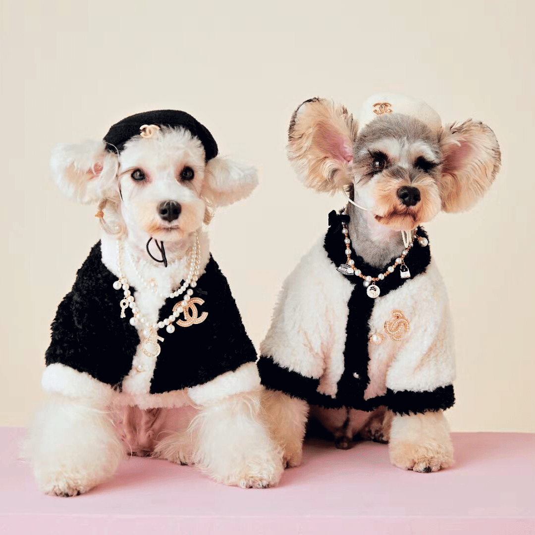 CoCo Dog Coat Classic