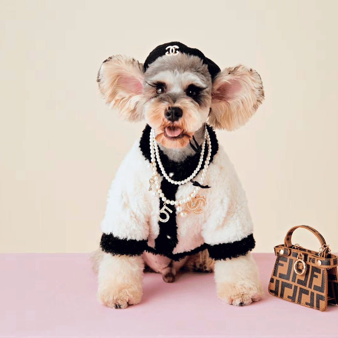 Chanel Dog Fur Coat for winter in white with a fanchy bag and hat 