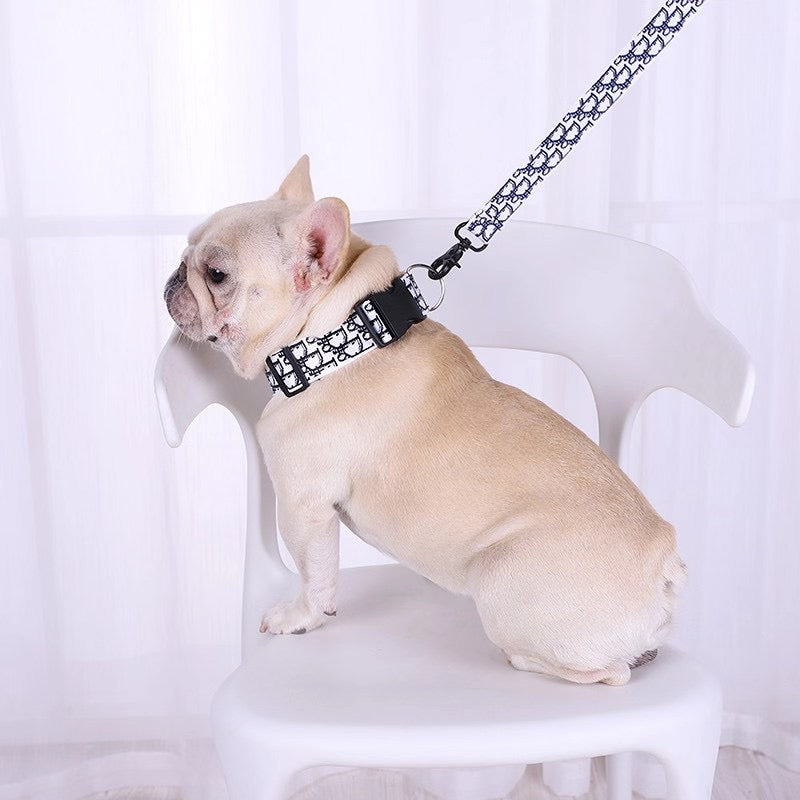 D Dog  Collar & Leash Set ⚪