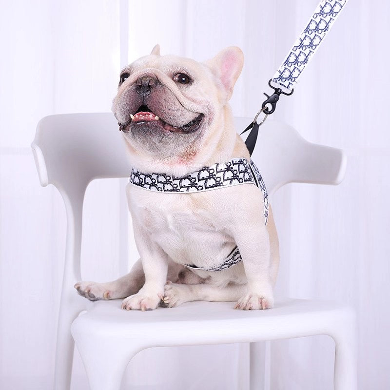 Dior Leash & Harness Set – Purrfect Puppy