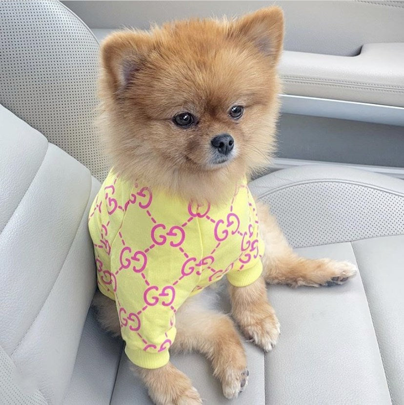 Pucci Dog Sweatshirt