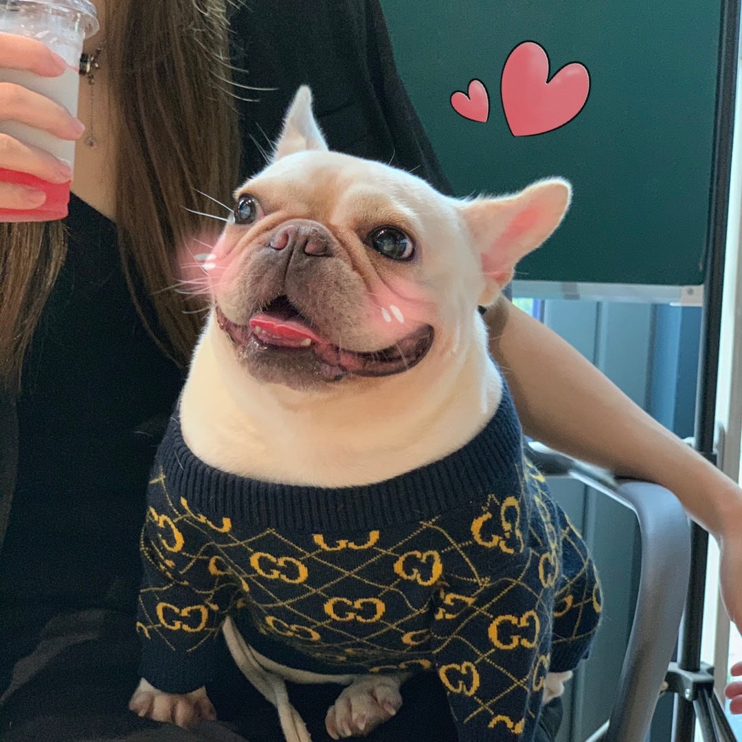 Pucci Dog Sweater Golden