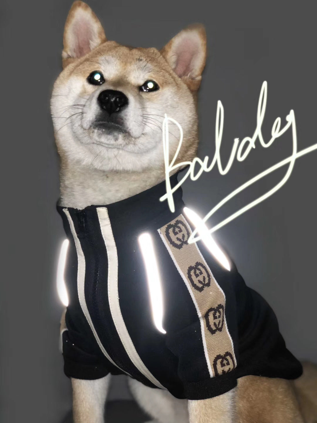 Pucci Dog Reflective Jacket Jersey