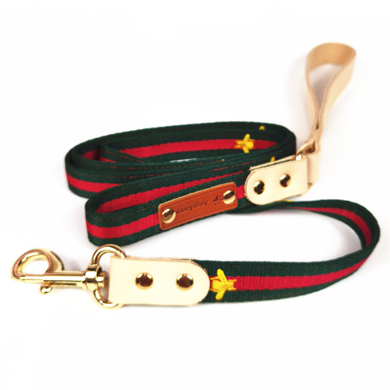 Pucci Dog Leather Collar & Leash Set