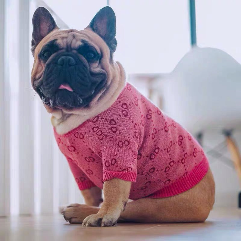 Pucci Dog Pink Sweater