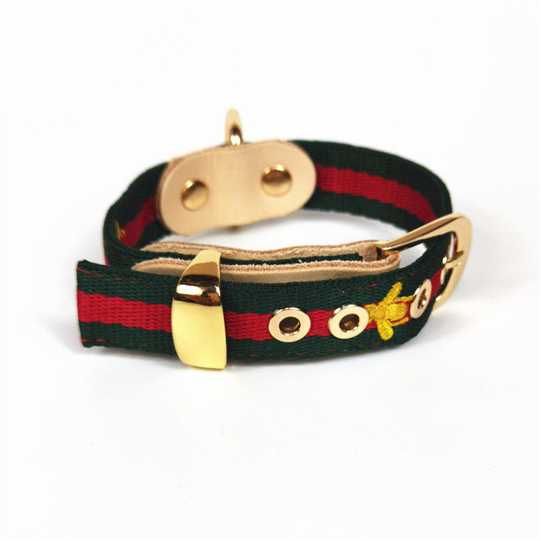 Pucci Dog Leather Collar & Leash Set