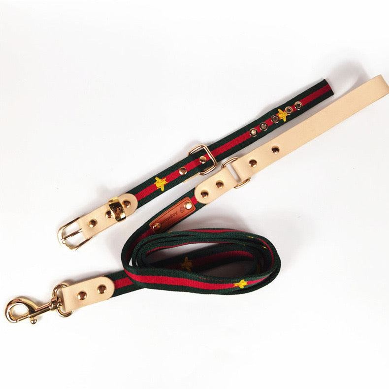 Pucci Dog Leather Collar & Leash Set