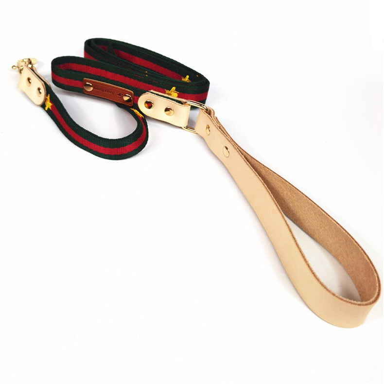 Pucci Dog Leather Collar & Leash Set