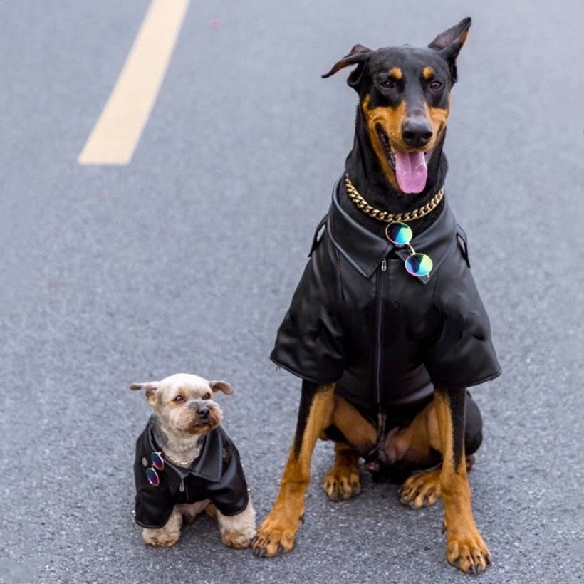 Biker Dog Leather Jacket