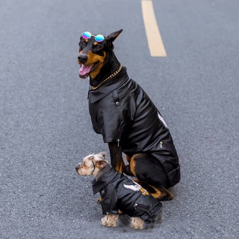 Biker Dog Leather Jacket