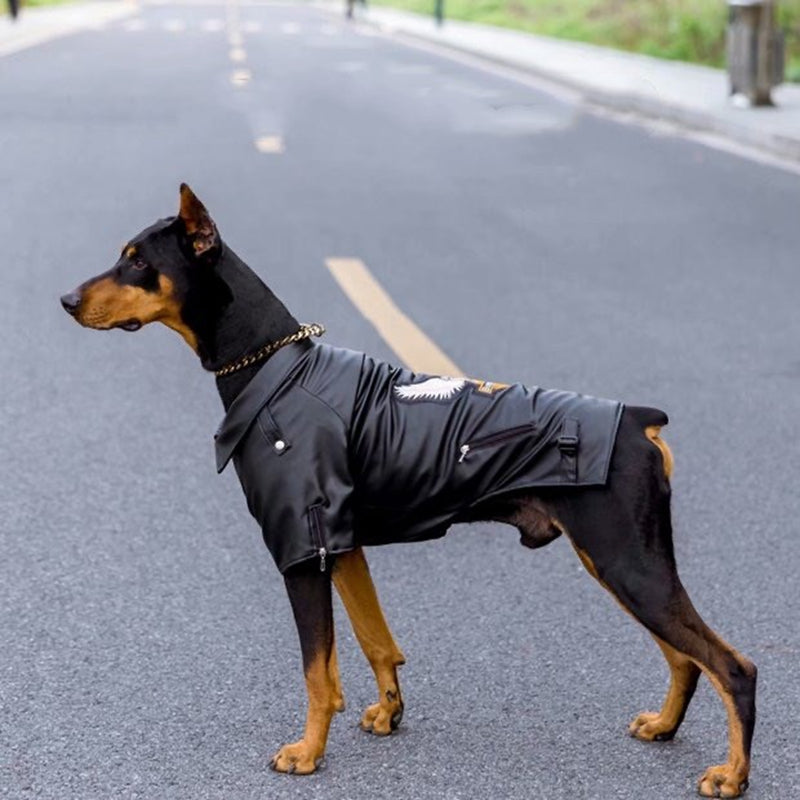 Biker Dog Leather Jacket