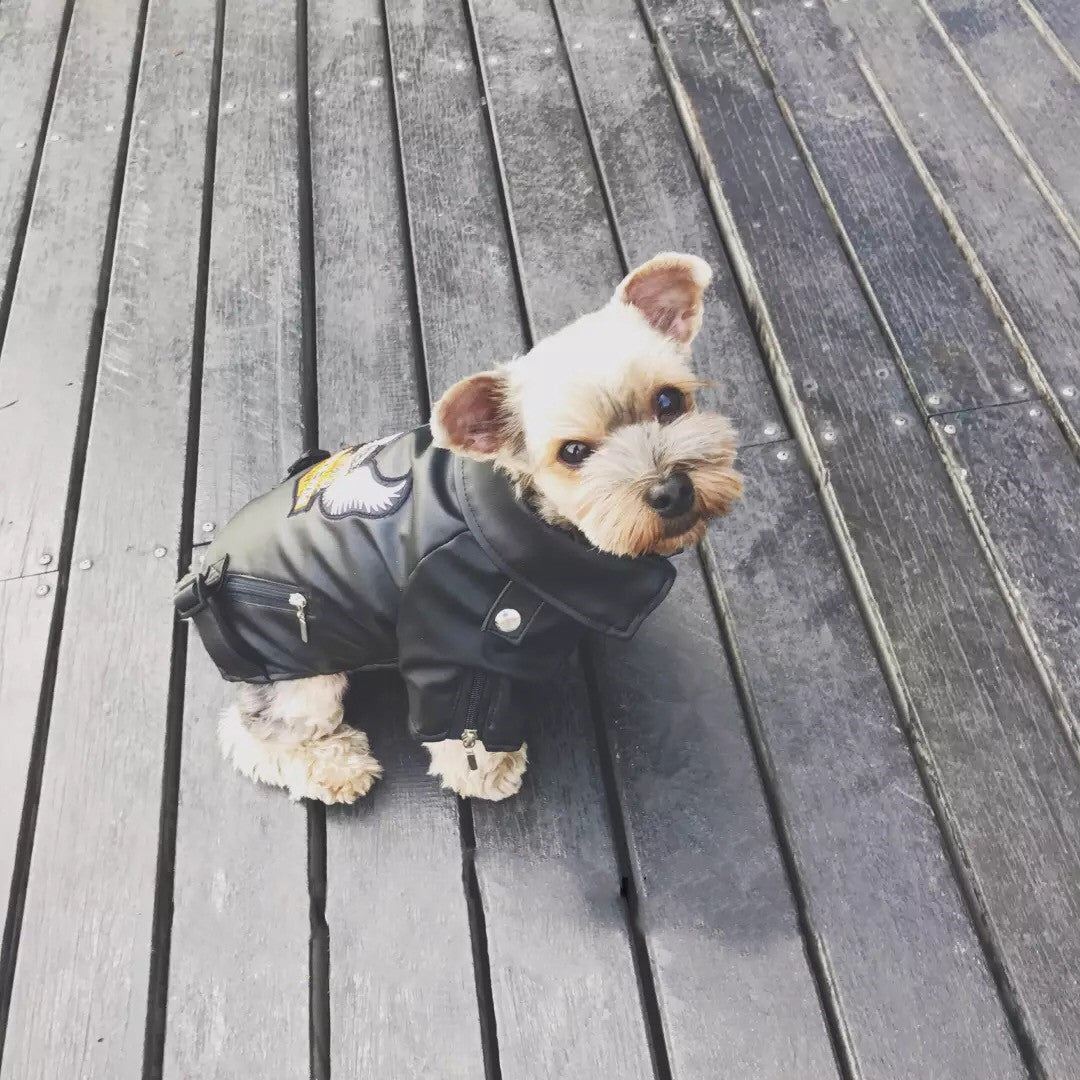 Biker Dog Leather Jacket