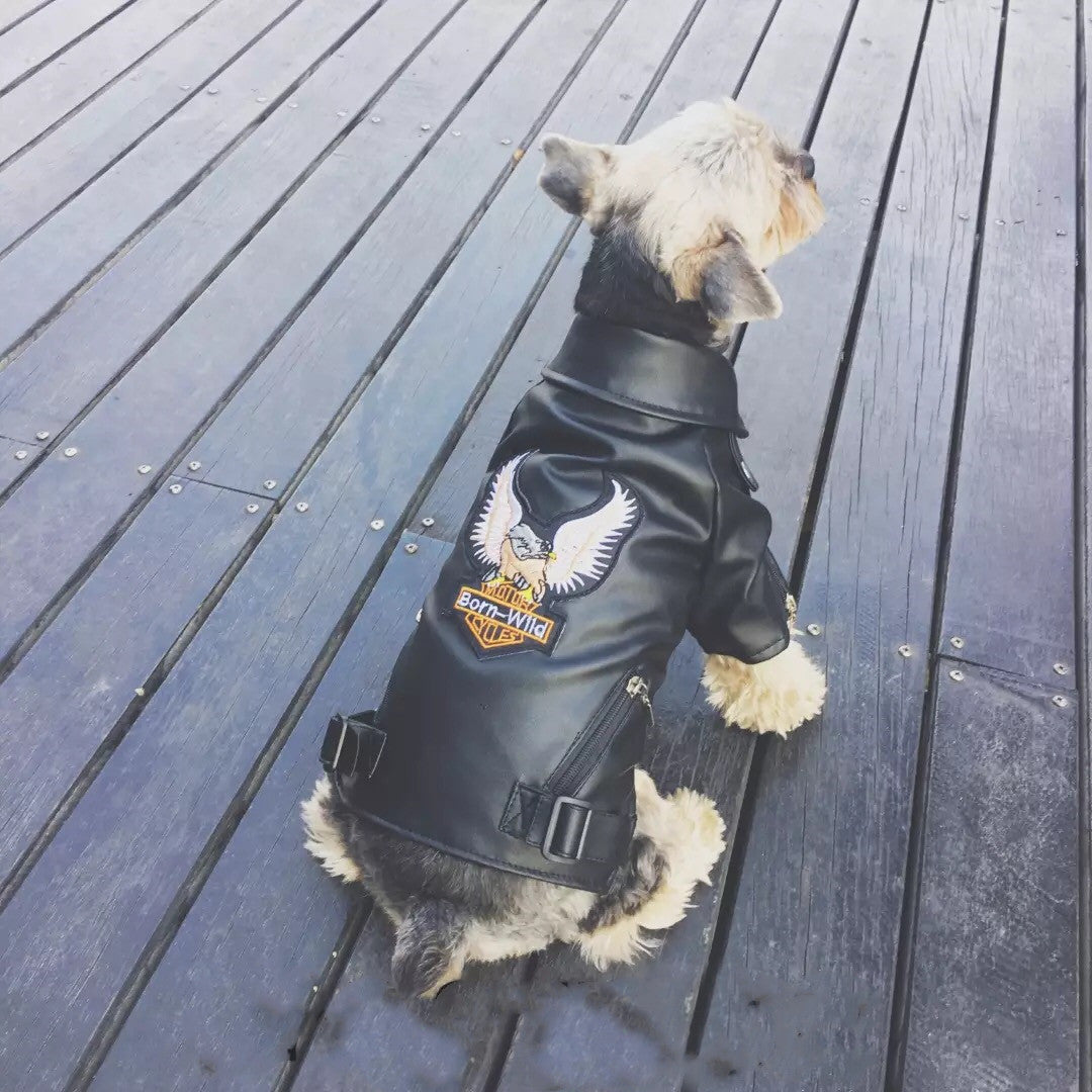 Biker Dog Leather Jacket