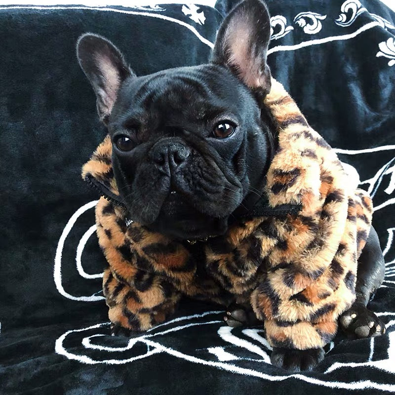 Trendiano Leopard Dog Coat