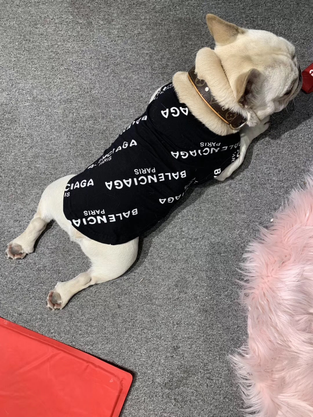 Pawlenciaga Dog Vest