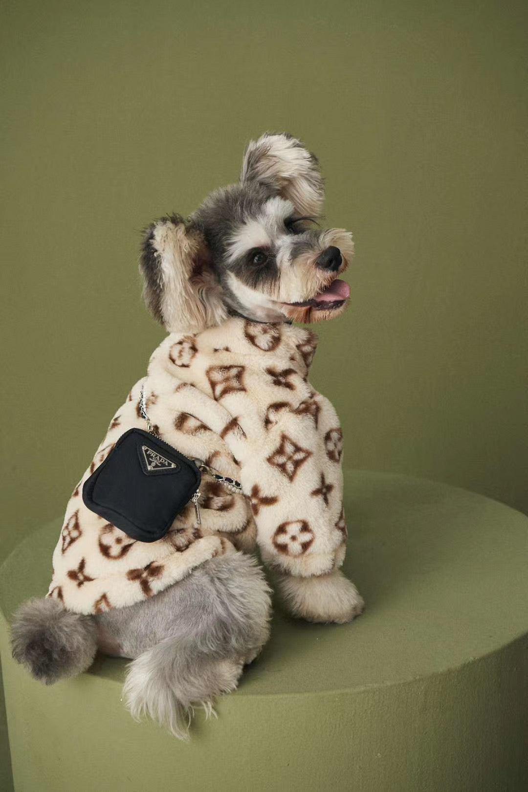 LV Dog Reflective Jacket – Purrfect Puppy