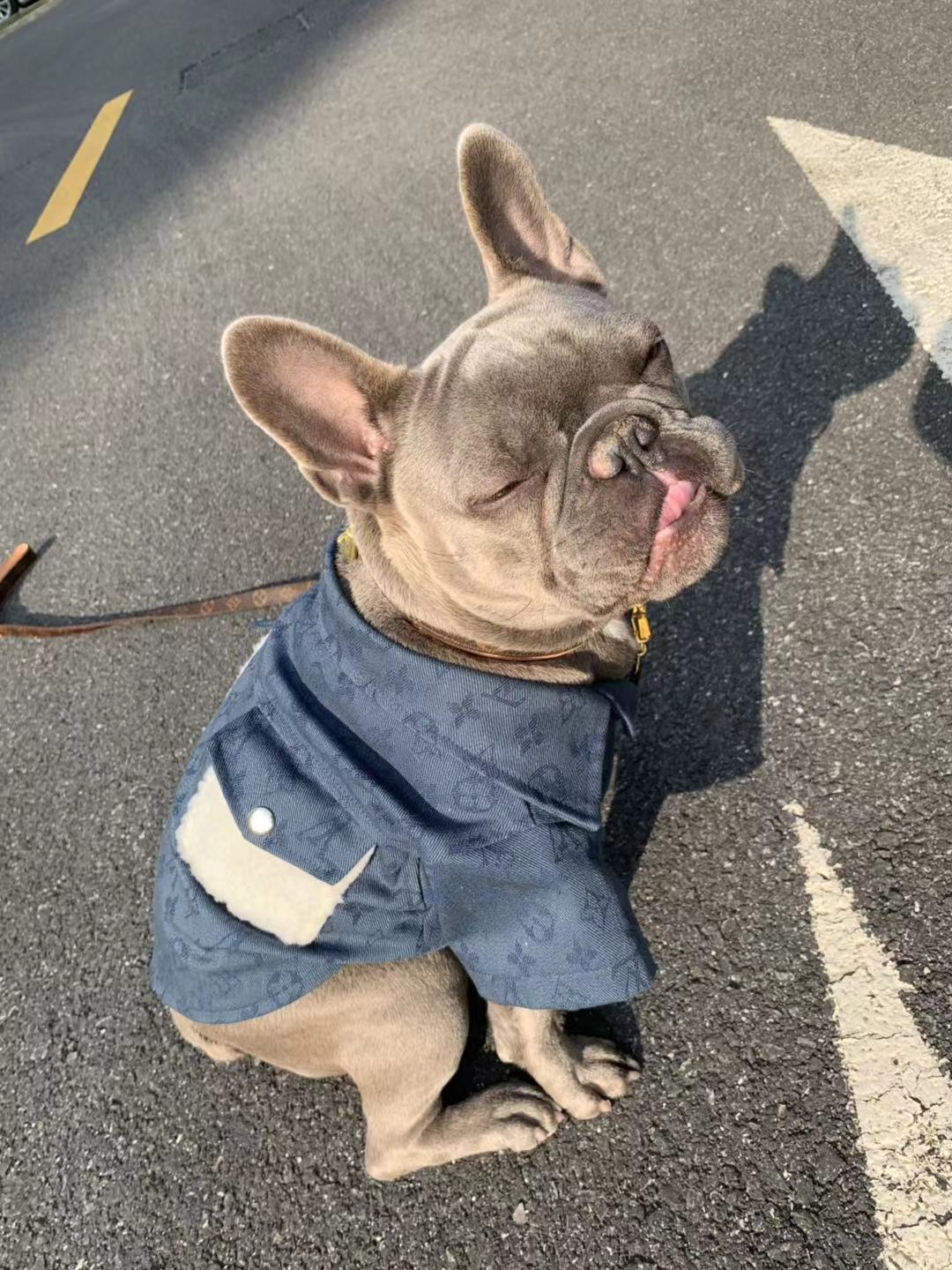 LV Dog Demin Jacket