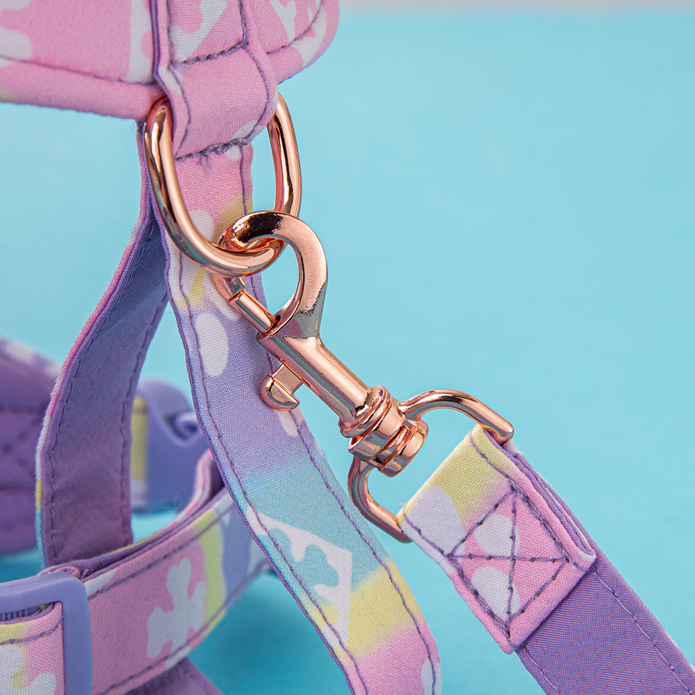 LV Dog Harness Rainbow