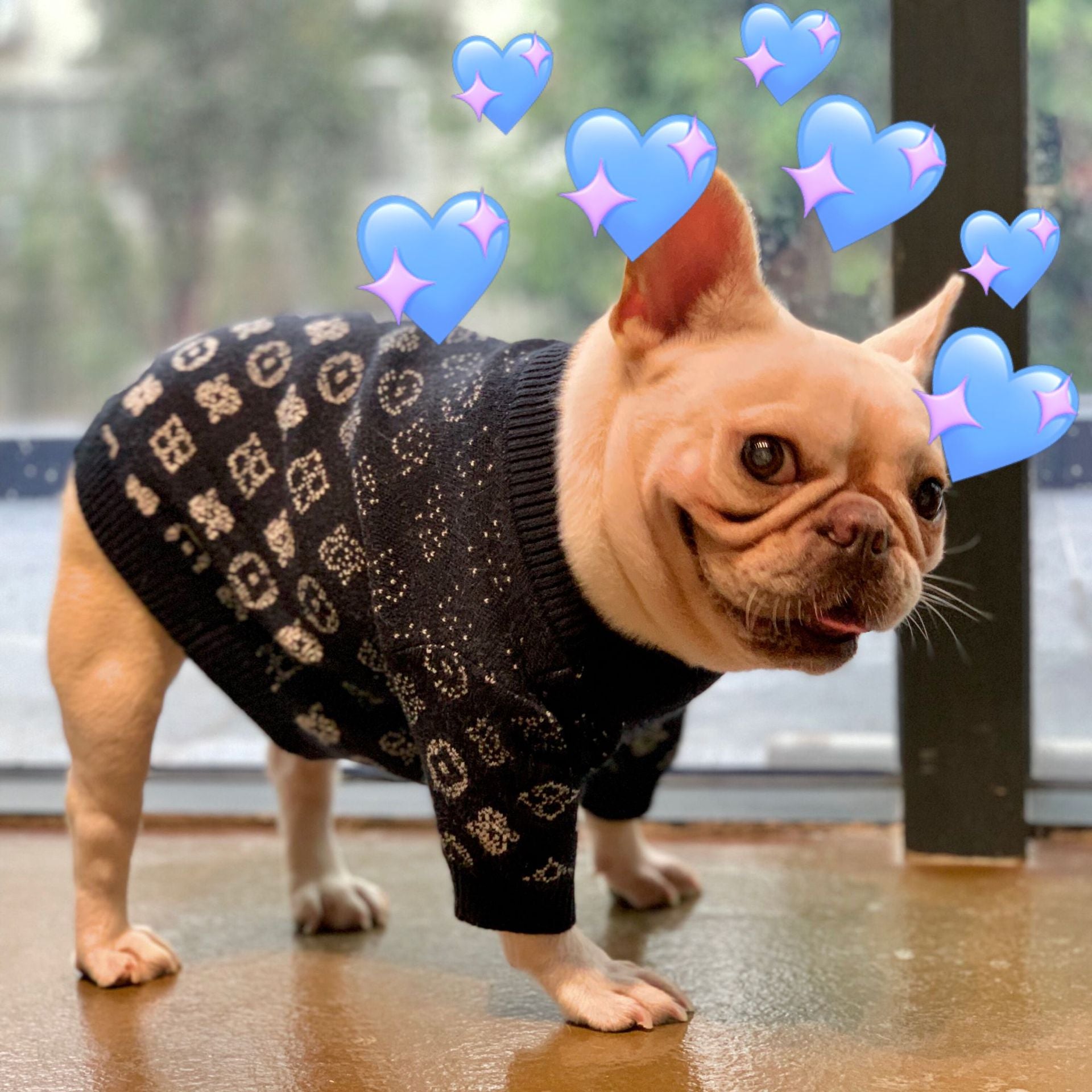 puppy sweater lv