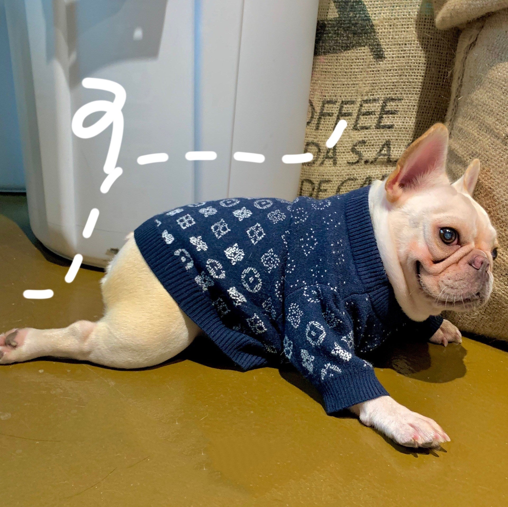 LV Dog Sweater ⚫
