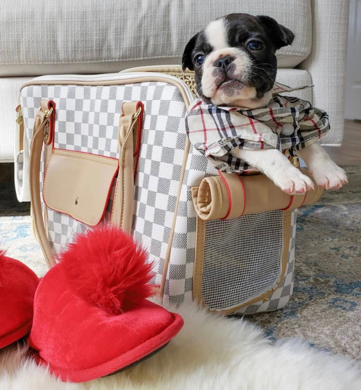 LV Dog Leather Carrier Handbag