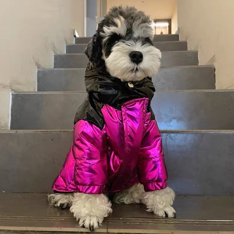 Pawcler Dog Jacket