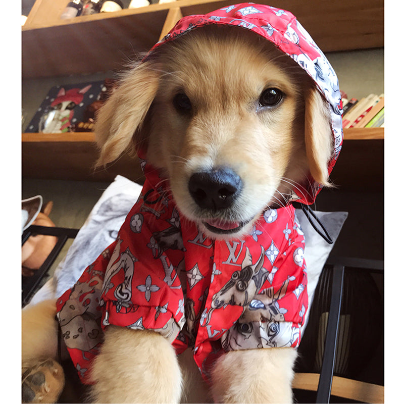 LV Dog Jacket – Purrfect Puppy