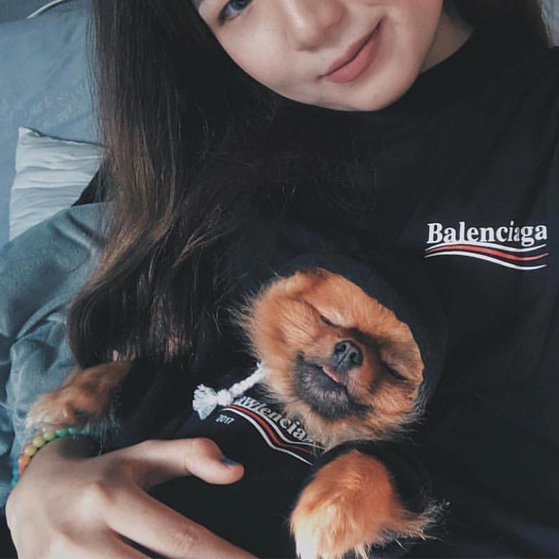 Pawlenciaga Dog Hoodie