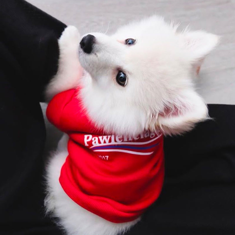 Pawlenciaga Dog Hoodie