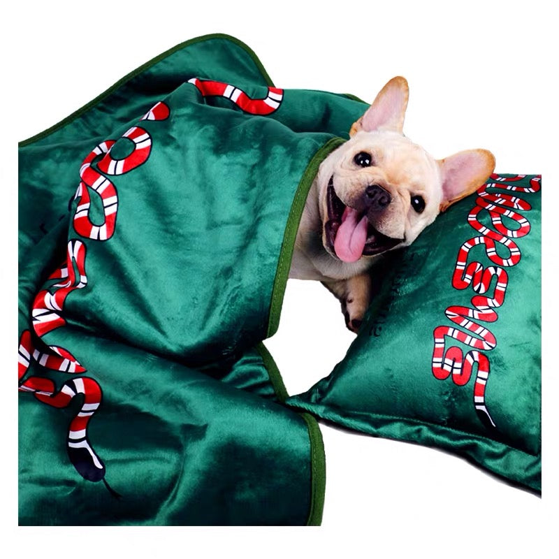 Pucci Dog Pillow & Blanket Bed